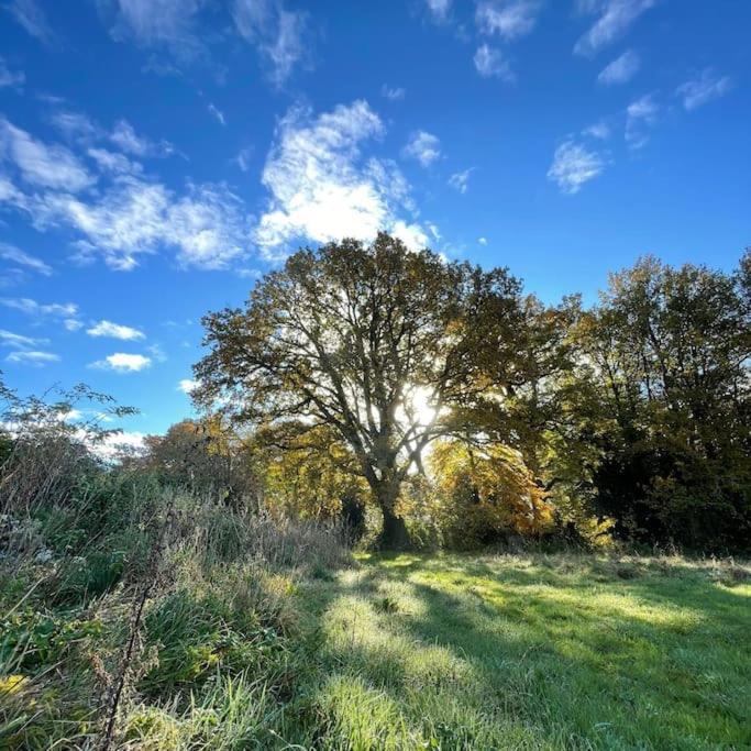 Superbe Maison De Campagne A Deux Pas De Nantes Treillières Eksteriør billede